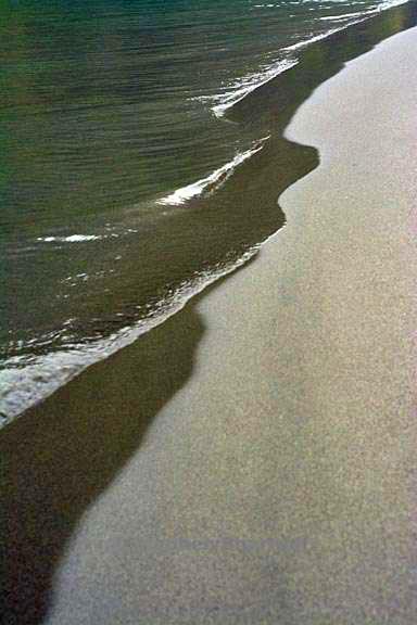 river edge 4 graphic